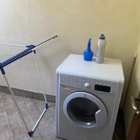 Shale Anemona בוקובל