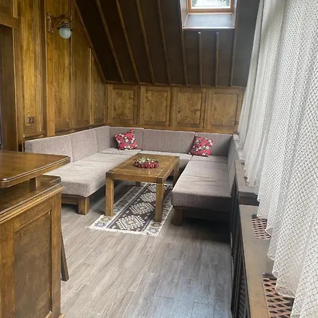 Shale Anemona Bukovel